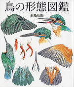 鳥の形態図鑑