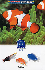 魚