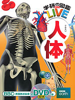 人体