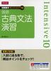 短期集中 インテンシブ10 国語 古典文法演習