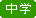 中学