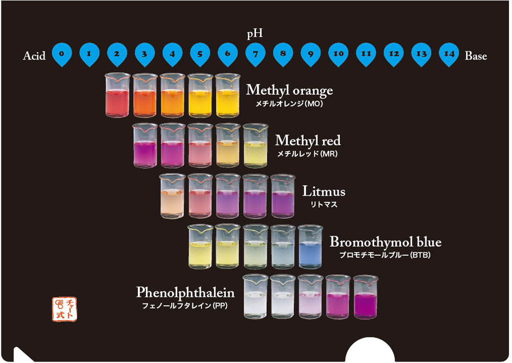 クリアファイル（pH指示薬）