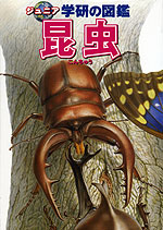 昆虫