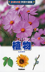 植物