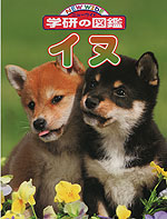 イヌ