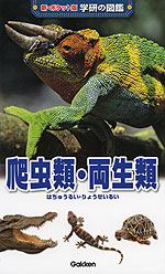 爬虫類・両生類