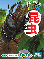 昆虫