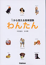 わんたん