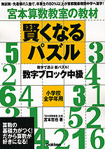 宮本算数教室の教材 賢くなるパズル 数字ブロック 中級