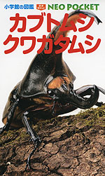 カブトムシ・クワガタムシ