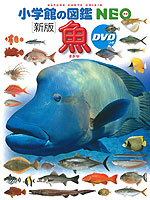 ［新版］ 魚