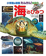 海のひみつ