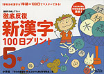 徹底反復 新漢字 100日プリント 5年