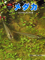 メダカ