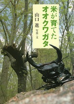 米が育てたオオクワガタ