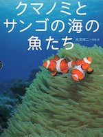 クマノミとサンゴの海の魚たち