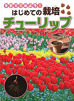 チューリップ