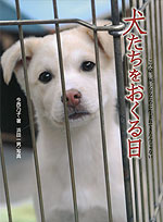 犬たちを おくる日