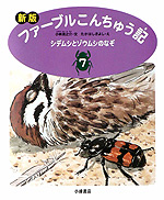 シデムシとゾウムシのなぞ