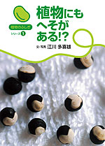 植物にもへそがある!?