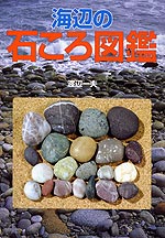 海辺の石ころ図鑑