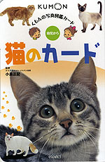 猫のカード
