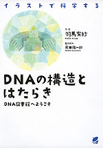 イラストで科学する DNAの構造とはたらき