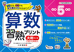 算数習熟プリント 小学5年生 大判サイズ