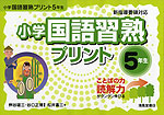 小学 国語 習熟プリント 5年生