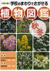 ハンディ版 学校のまわりでさがせる 植物図鑑(秋冬)