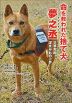 命を救われた捨て犬 夢之丞 災害救助 泥まみれの一歩