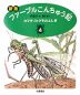 カマキリとクモのふしぎ