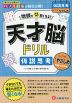 天才脳ドリル 仮説思考【すこしやさしめ】