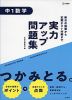 実力アップ問題集 中1数学