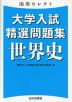 山川セレクト 大学入試精選問題集 世界史