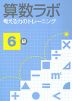 算数ラボ 考える力のトレーニング 6級