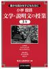 小学国語 文学・説明文の授業 3年