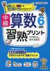 中級 算数習熟プリント 小学6年生