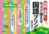 宿題・授業に! 今スグ使える国語プリント 小学4年生