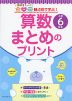 観点別で学ぶ! 算数 まとめのプリント 小学6年生