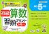初級 算数習熟プリント 小学5年生 大判サイズ